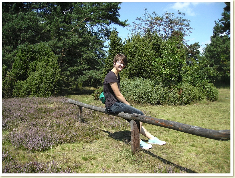 Lueneburgerheide_2009 (4)